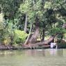 Scène de vie dans les Backwaters du Kerala