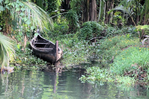Paysage dans les Backwaters du Kerala